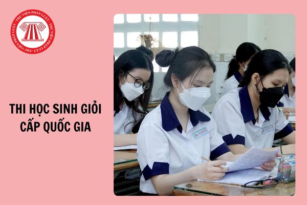 Năm 2024, đối tượng nào thi học sinh giỏi cấp quốc gia đều sẽ được cấp giấy chứng nhận?