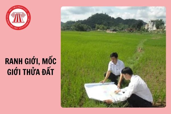 Tải Mẫu bản mô tả ranh giới, mốc giới thửa đất mới nhất 2024?