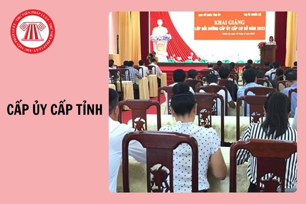 Cấp ủy cấp tỉnh là cơ quan gì? Ban thường vụ cấp ủy cấp tỉnh chịu trách nhiệm trước cơ quan nào?