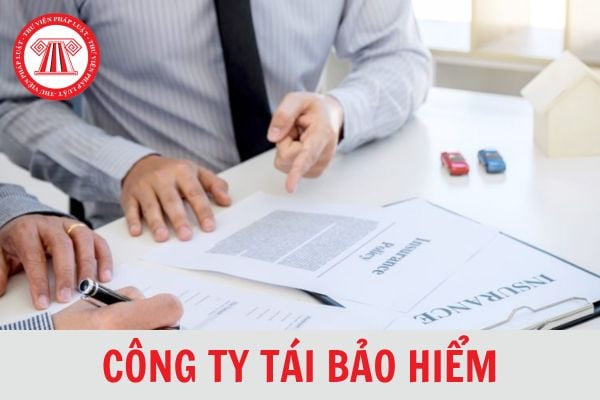 Cổ đông cá nhân công ty tái bảo hiểm được sở hữu tối đa bao nhiêu phần trăm vốn điều lệ?