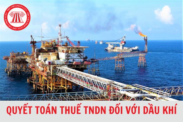 Mẫu 02/TNDN-DK tờ khai quyết toán thuế TNDN đối với dầu khí mới nhất 2024?