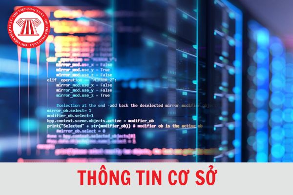 Thông tin cơ sở là gì? Chính sách của Nhà nước về phát triển thông tin cơ sở từ 1/7/2024?