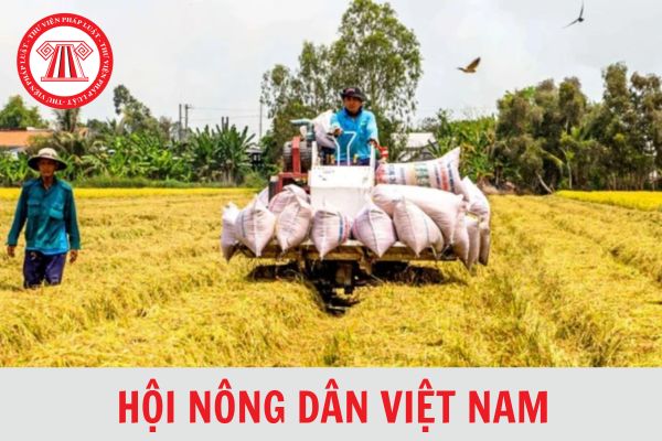 Nghị quyết 69/NQ-CP năm 2024 quy định 7 nhiệm vụ trọng tâm về nâng cao chất lượng hoạt động của Hội Nông dân Việt Nam?