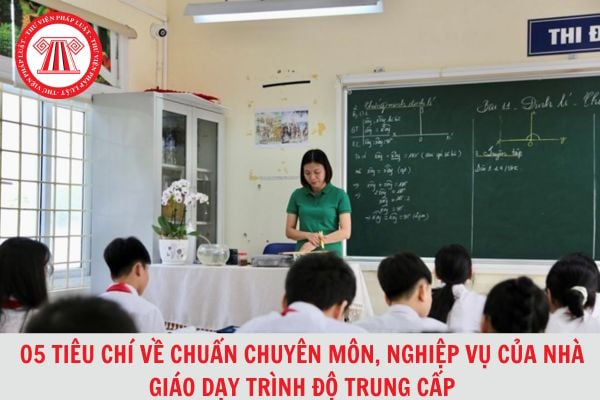 05 tiêu chí về chuẩn chuyên môn, nghiệp vụ của nhà giáo dạy trình độ trung cấp từ 25/6/2024?