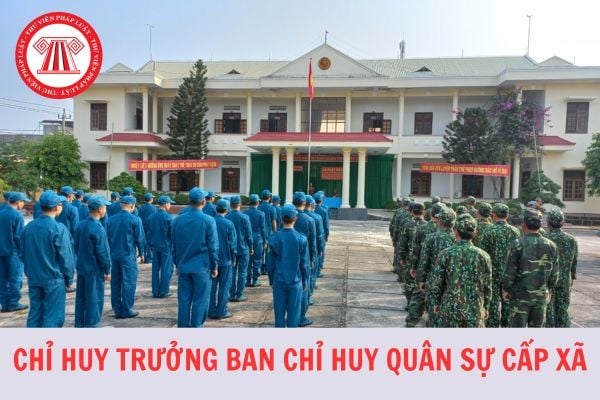 Chỉ huy trưởng Ban chỉ huy quân sự cấp xã có phải thi tuyển hay không? 