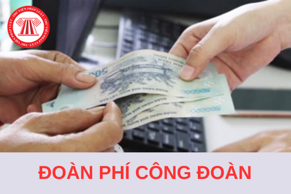 Từ 1/7/2024, tăng mức đóng đoàn phí công đoàn hàng tháng tối đa lên tới 234.000 đồng/tháng?