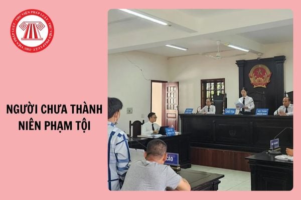 Từ 1/1/2026, người chưa thành niên phạm tội bị hạn chế ra khỏi nhà từ 18h đến 6h hôm sau?