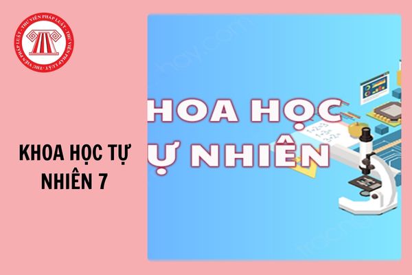 Trọn bộ đề thi học kì 1 Khoa học tự nhiên 7 Kết nối tri thức năm 2024 - 2025 có đáp án?