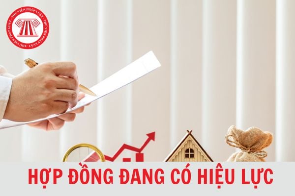 Hợp đồng đang có hiệu lực của doanh nghiệp chuẩn bị phá sản có thể bị tuyên bố vô hiệu hay không?