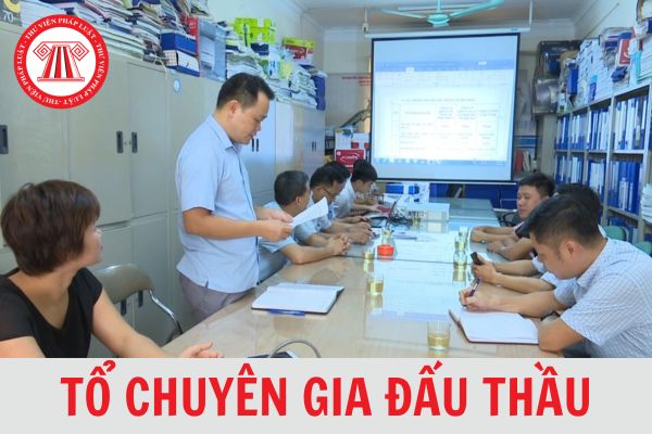 Tổ chuyên gia đấu thầu do ai thành lập? Tổ chuyên gia đấu thầu gồm mấy người?