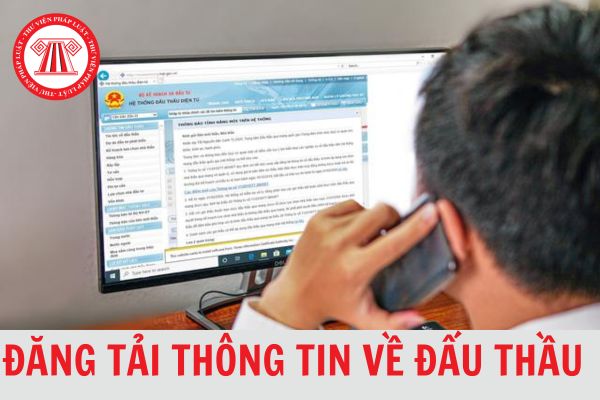 Ai chịu chi phí đăng tải thông tin về đấu thầu? Thời hạn nộp chi phí đăng tải thông tin về đấu thầu tối đa là bao lâu?