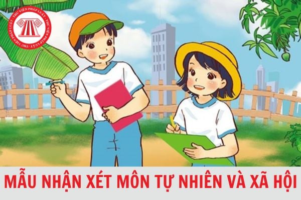 Mẫu nhận xét môn Tự nhiên và xã hội học kì 2 theo Thông tư 27 học sinh lớp 1, 2, 3 mới nhất 2024?