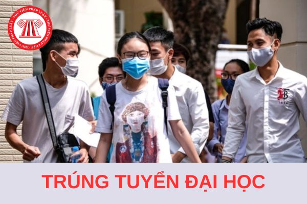 Khi nào biết trúng tuyển đại học năm học 2024 - 2025?