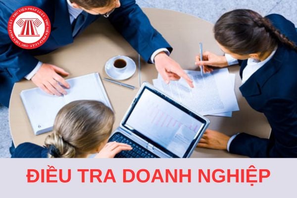 07 nội dung thu thập để điều tra doanh nghiệp năm 2025?