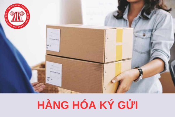 Từ 1/1/2025, xe khách được miễn bồi thường thiệt hại hàng hóa ký gửi trong trường hợp nào?