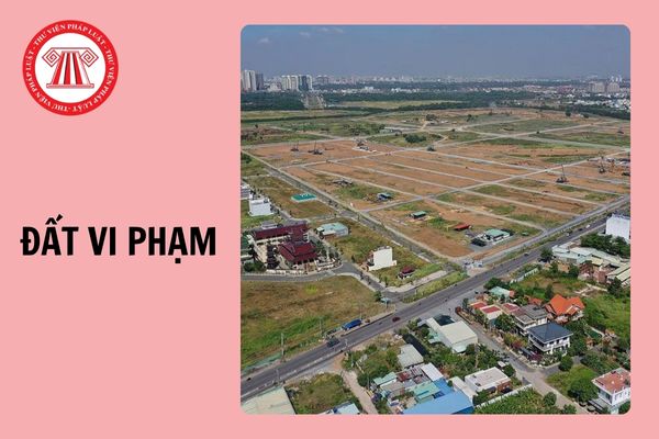 Cách xác định diện tích đất vi phạm và tình trạng ban đầu của đất trước khi vi phạm 2024?