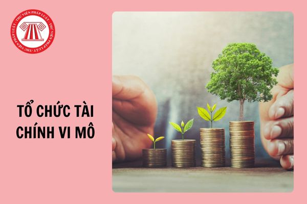 Thời hạn hoạt động của tổ chức tài chính vi mô là mấy năm? Địa bàn hoạt động được xác định thế nào?