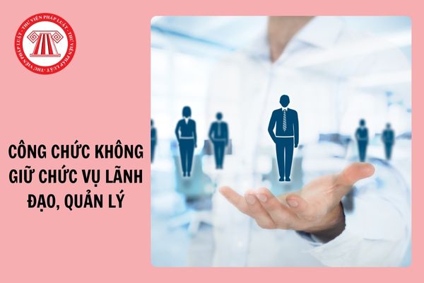 05 trường hợp tiếp nhận công chức không giữ chức vụ quản lý từ 6/11/2024?