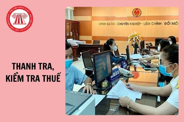 09 nhóm doanh nghiệp Tổng Cục thuế tập trung thanh tra, kiểm tra 2025?