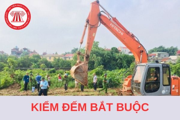 Tải Mẫu 01a quyết định kiểm đếm bắt buộc theo Nghị định 102 mới nhất hiện nay?