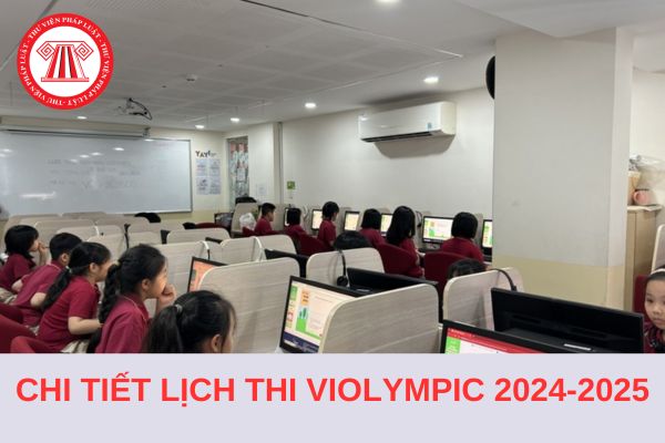 Chi tiết Lịch thi Violympic năm học 2024-2025 của tất cả các vòng?