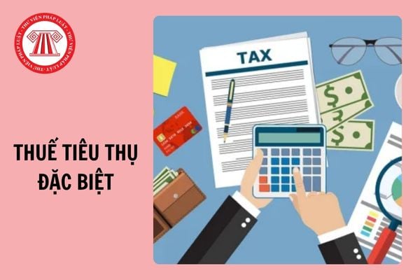 Mẫu 01/TTĐB tờ khai thuế tiêu thụ đặc biệt (trừ hoạt động sản xuất, pha chế xăng sinh học) 2024?