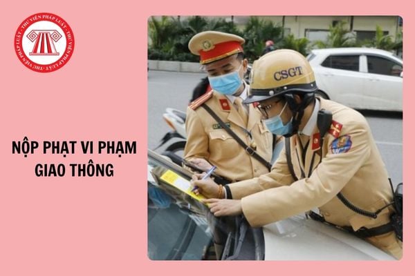 Thời hạn nộp phạt vi phạm giao thông được tính từ ngày nào?