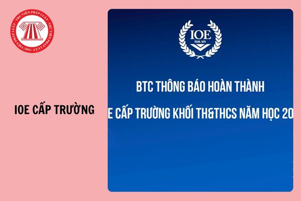 Kết quả IOE cấp trường khối Tiểu học và THCS năm học 2024-2025 (dự kiến)?