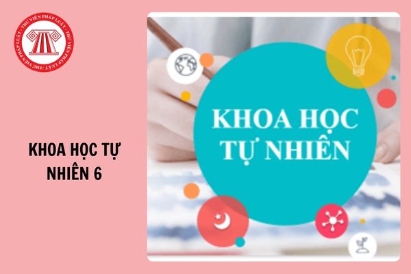 Đề thi học kì 1 Khoa học tự nhiên 6 Kết nối tri thức năm 2024 - 2025 kèm đáp án?