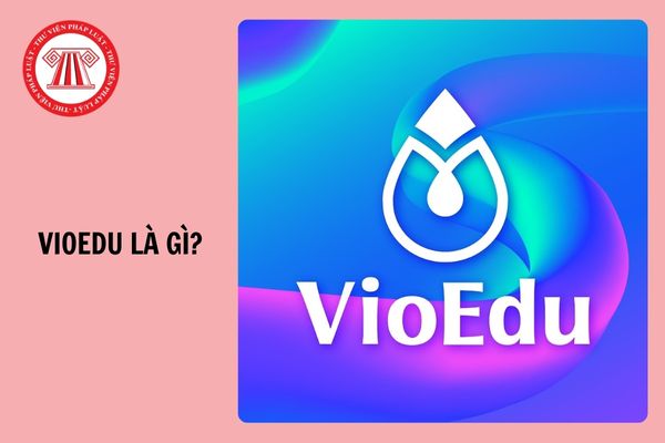 VioEdu là gì? Cách đăng ký VioEdu trên điện thoại đơn giản, nhanh nhất 2025?