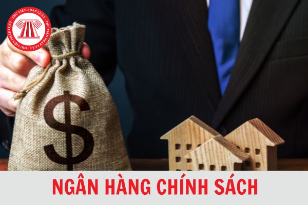 Năm 2024, cơ quan nào đại diện trực tiếp cho chủ sở hữu nhà nước tại ngân hàng chính sách?