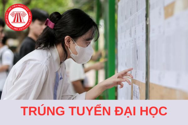 Cách tra cứu điểm chuẩn, kết quả trúng tuyển đại học năm 2024 đơn giản?