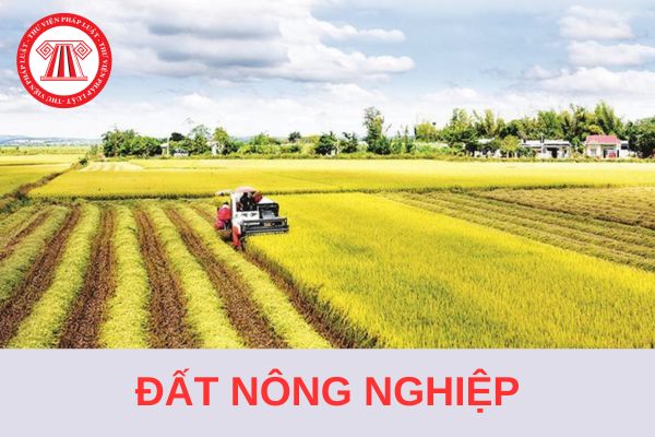 Các loại đất nông nghiệp không được cấp Sổ đỏ từ 01/8/2024?