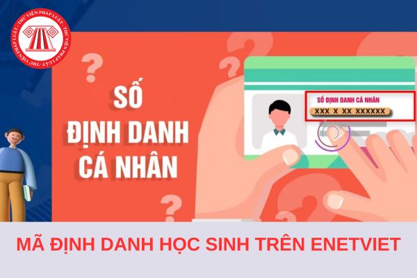 Hướng dẫn cách lấy mã định danh học sinh trên eNetViet nhanh chóng 2024?