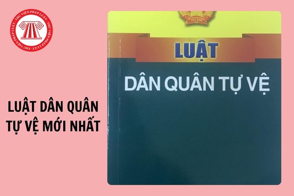 Luật Dân quân tự vệ mới nhất 2024 là luật nào? Tổng hợp văn bản hướng dẫn mới nhất?