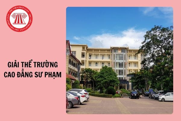 Mẫu Tờ trình đề nghị giải thể trường cao đẳng sư phạm 2024 (Mẫu số 08)?