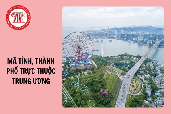 Danh mục 63 mã tỉnh, thành phố trực thuộc Trung ương mới nhất 2024 theo Nghị định 145?