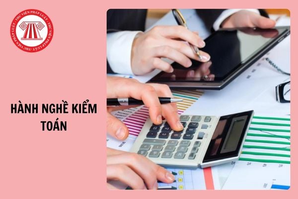 05 trường hợp không được tiếp tục hành nghề kiểm toán từ 1/1/2025?