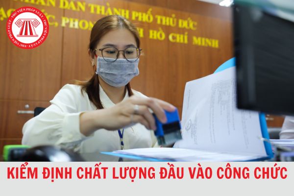 Năm 2024, kiểm định chất lượng đầu vào công chức được tổ chức khi nào?