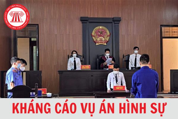 Hướng dẫn thủ tục kháng cáo vụ án hình sự chi tiết, mới nhất 2024?