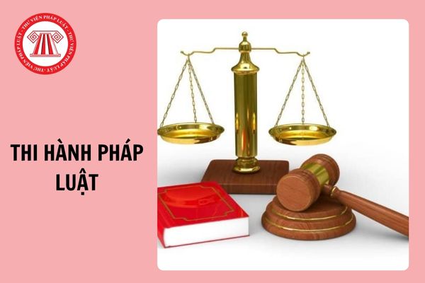 Đã có Thông tư 08/2024/TT-BTP quy định chi tiết việc xem xét, đánh giá tình hình thi hành pháp luật?