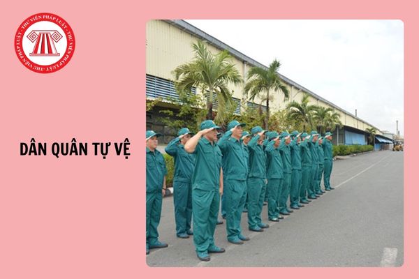 Hỏi đáp Pháp luật