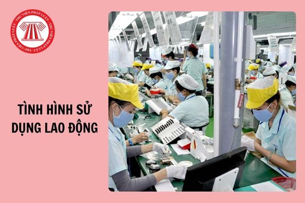 Link nộp báo cáo tình hình sử dụng lao động 2024 tại TP Hồ Chí Minh chi tiết?