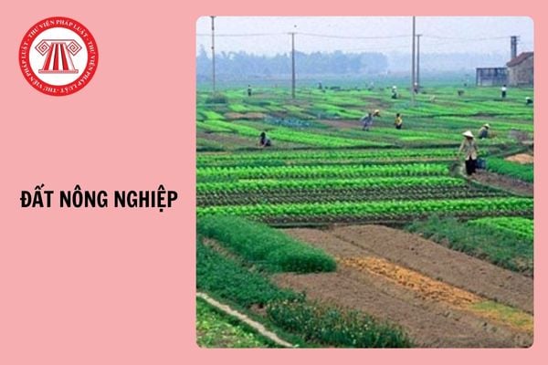 Bị thu hồi đất nông nghiệp có được ưu tiên tham gia chính sách việc làm công không?