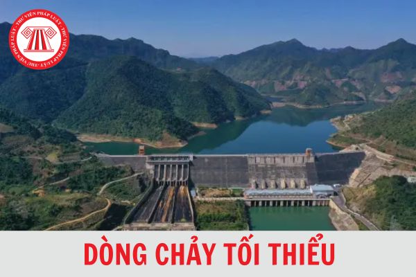 Dòng chảy tối thiểu là gì? Căn cứ vào đâu để xác định dòng chảy tối thiểu?