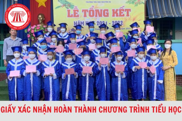 Dowload Giấy xác nhận hoàn thành chương trình Tiểu học cập nhật mới nhất 2024?