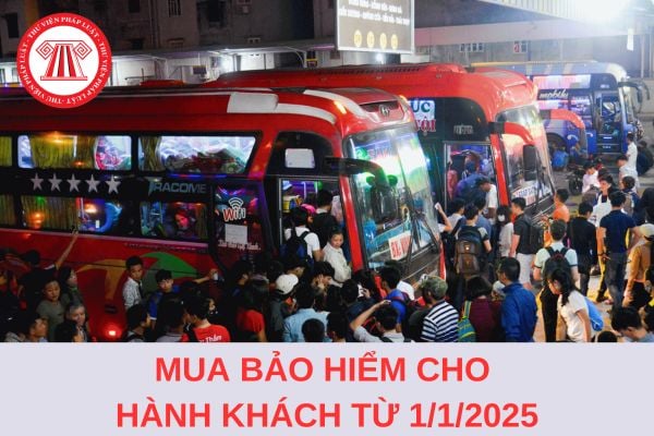 Từ 1/1/2025, các nhà xe phải có trách nhiệm mua bảo hiểm cho hành khách của mình?