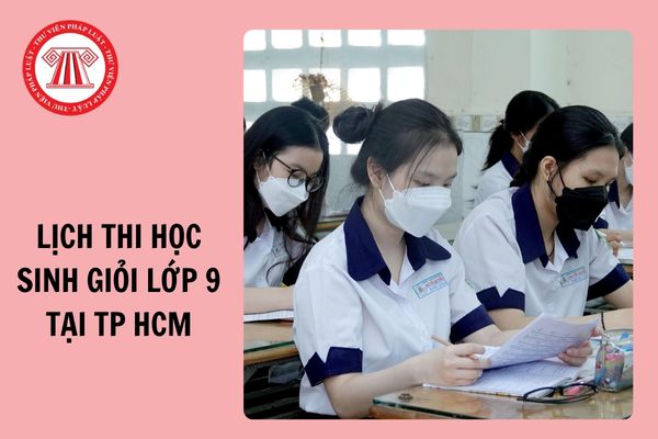 Lịch thi học sinh giỏi lớp 9 cấp thành phố tại TP Hồ Chí Minh năm học 2024-2025?