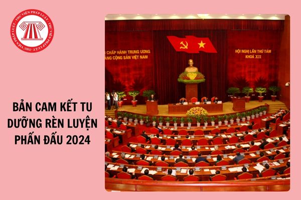 Download Mẫu Bản cam kết tu dưỡng rèn luyện phấn đấu 2024 của đảng viên dành cho CBCCVC?