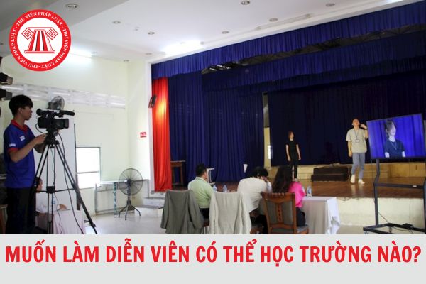 Muốn làm diễn viên thì có thể học trường nào? 